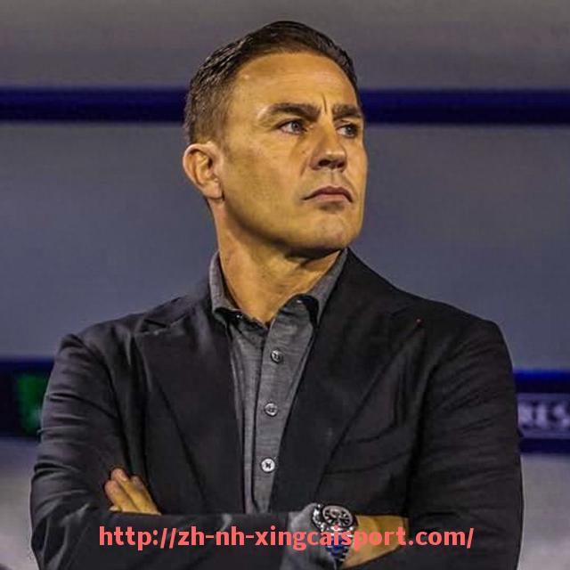 杏彩体育-法甲与德甲球队历年对战战绩全面对比研究