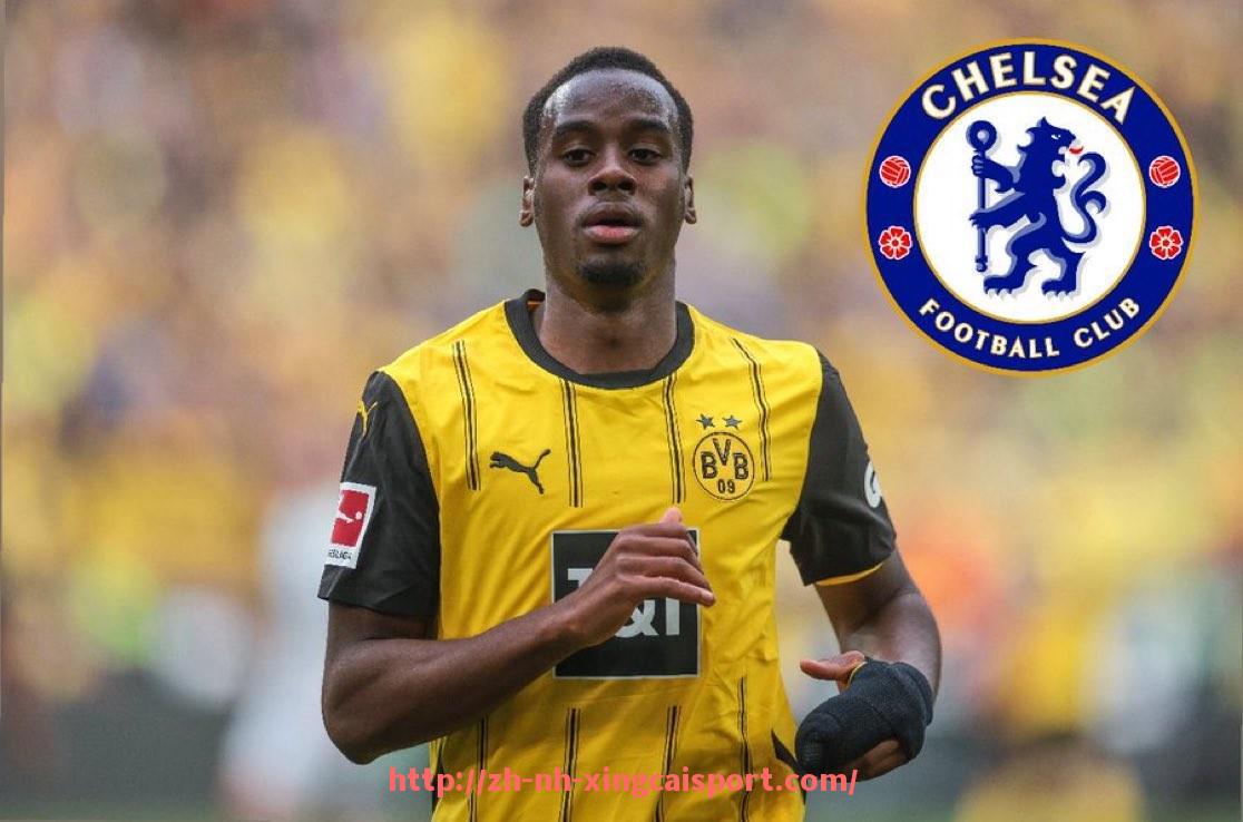 杏彩体育-苏宁老板投资的意甲球队发展及运营分析