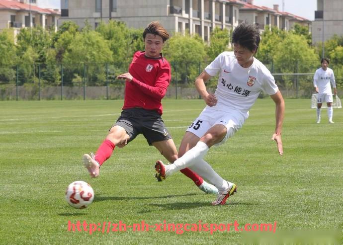 杏彩体育-法甲赛季赛事总结及关键比赛战术回顾