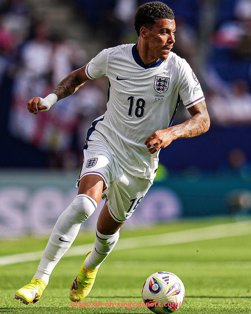 杏彩体育-NBA直播回放视频:轻松回顾每一场经典比赛